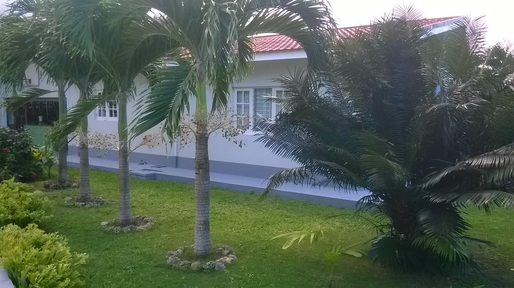 Fairy Hill Palms Lägenhet Port Antonio Exteriör bild